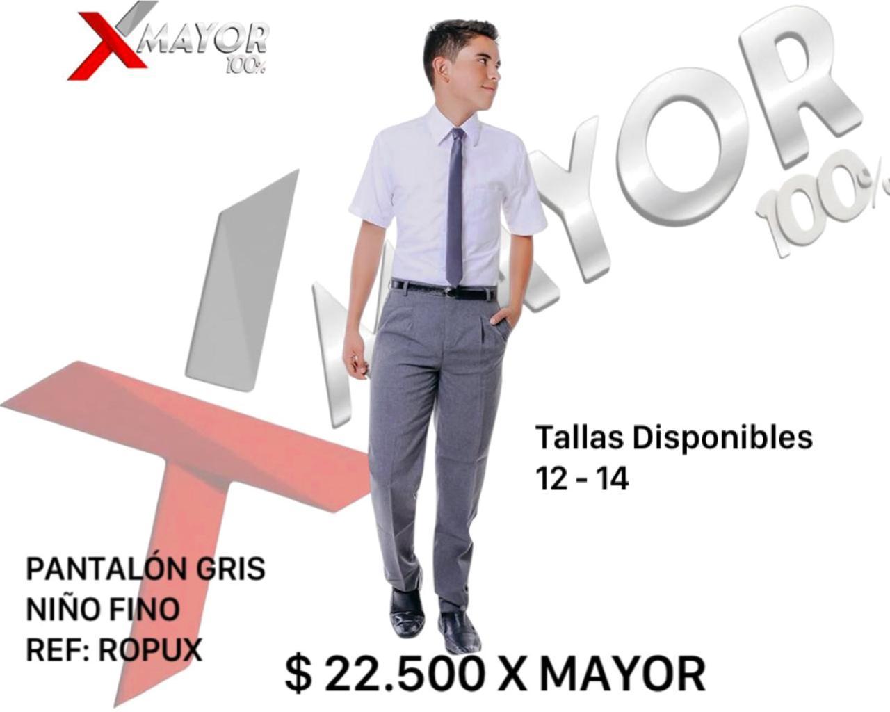 Pantalon Gris Fino ROPUX